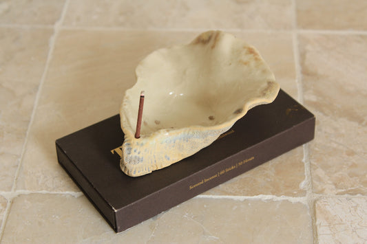 Oyster Incense Holder