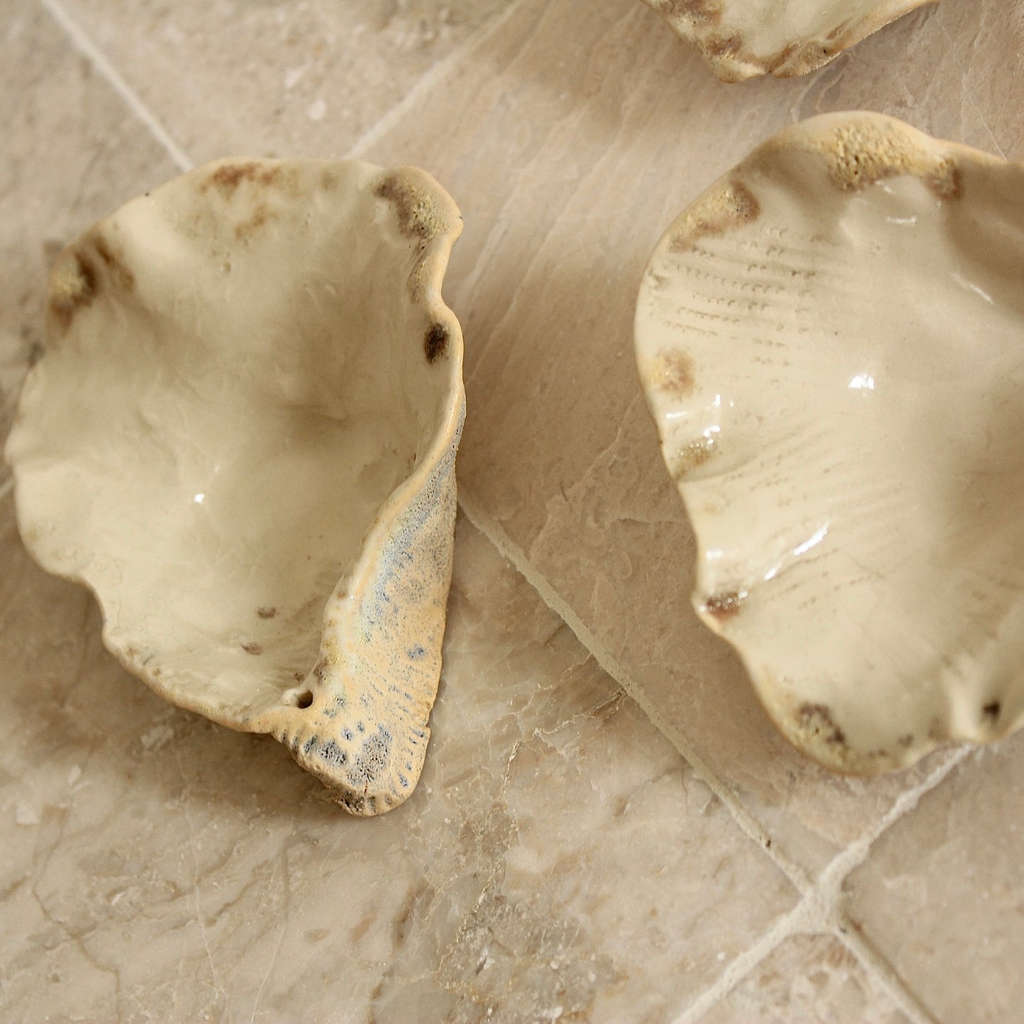 Oyster Incense Holder