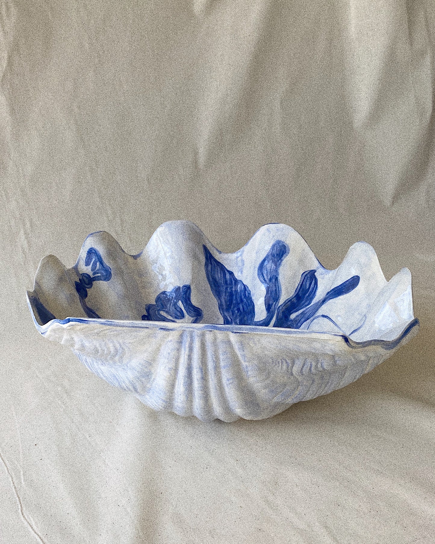 Clam - Large - Blue Bold