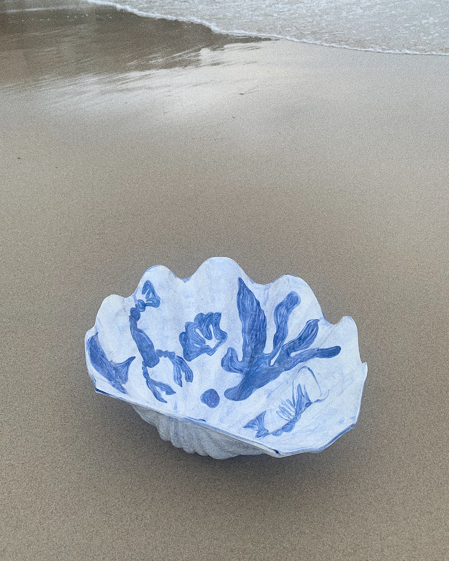 Clam - Large - Blue Bold