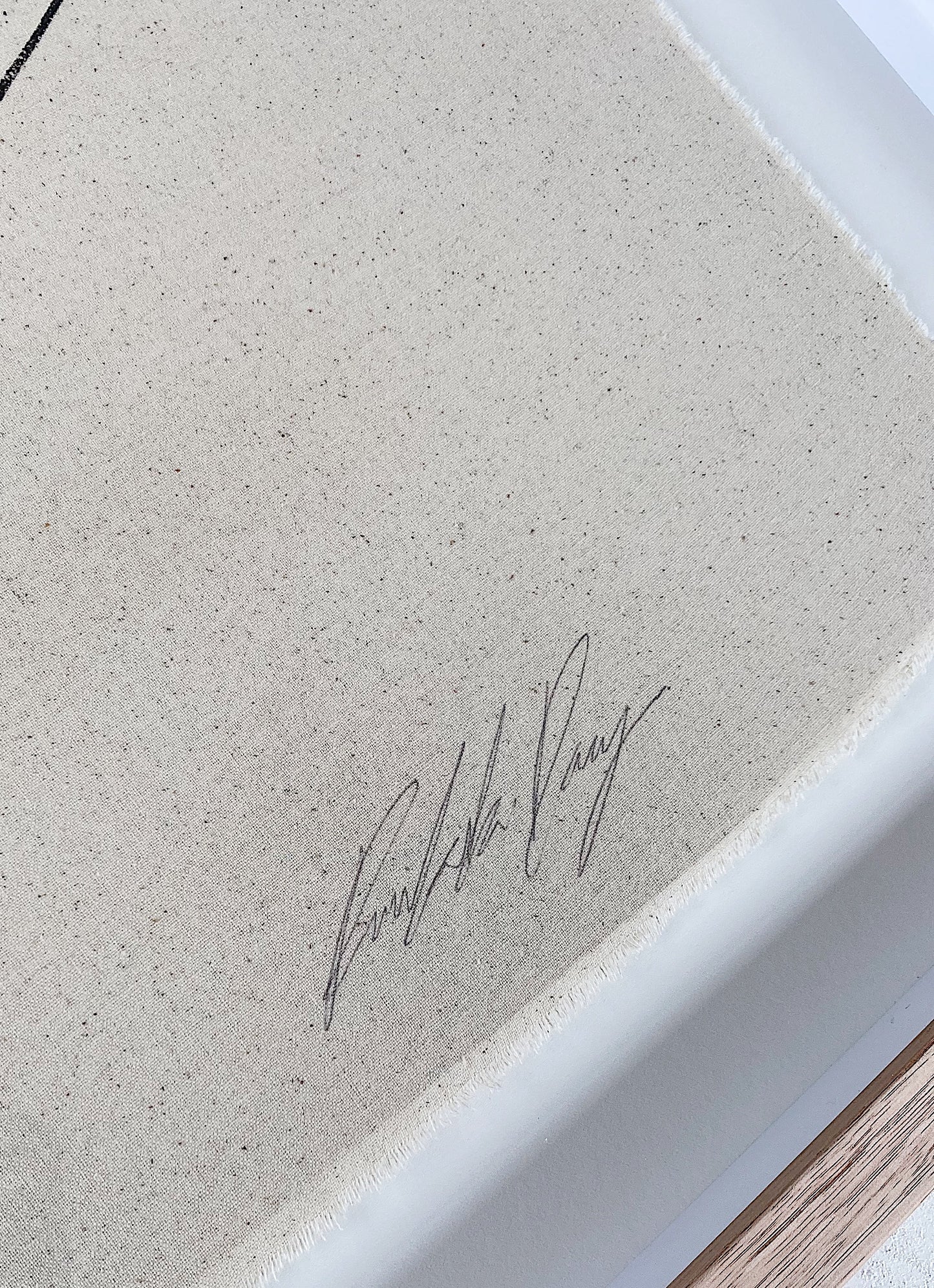 "Primitivo" - Original Acrylic on cotton raw edged fabric, Framed in Tasmanian Oak. 710mm x 900mm