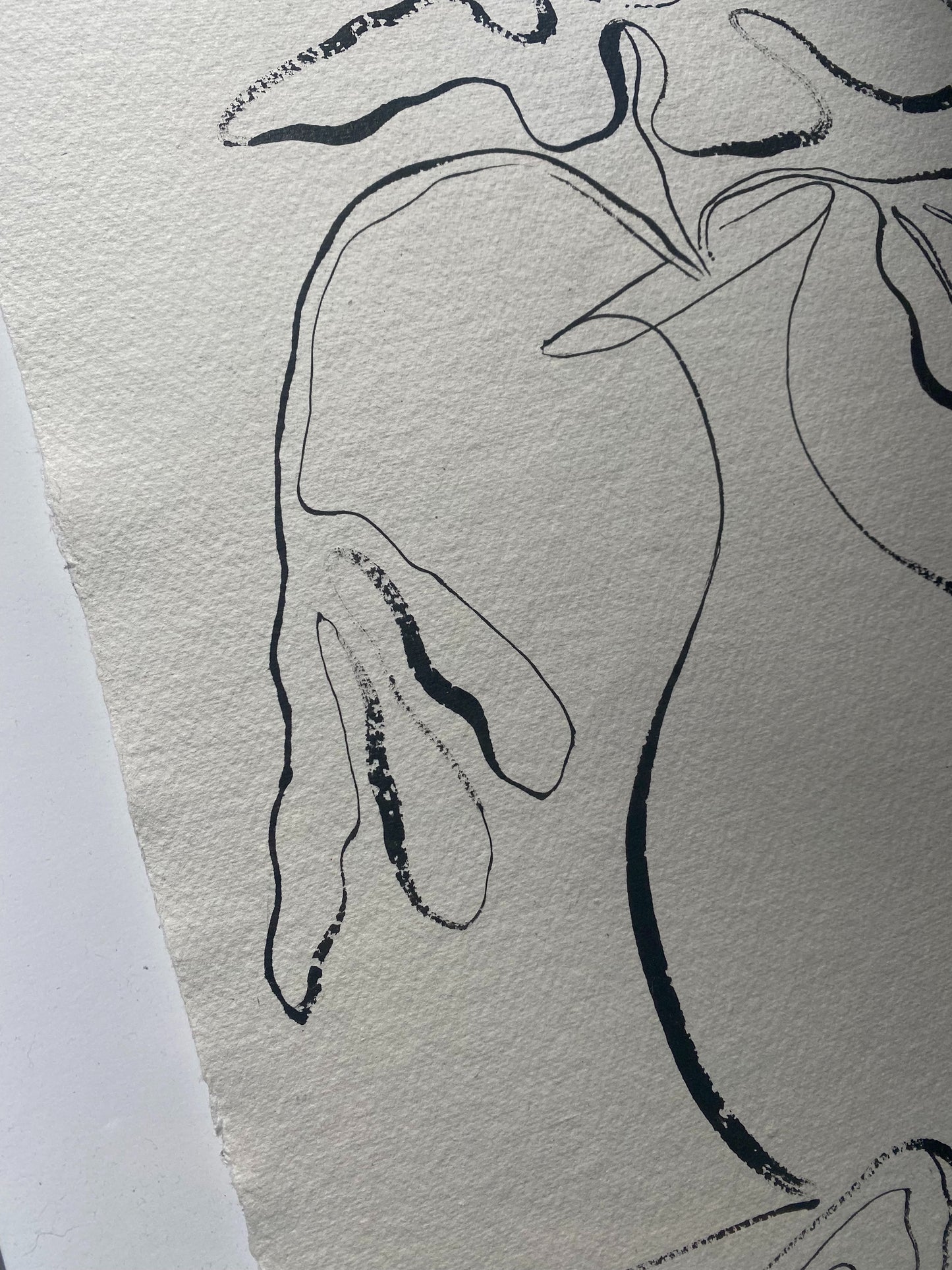 "In Bloom" - Original black acrylic on Khadi paper, framed in Tasmanian Oak. 560mm x 430mm