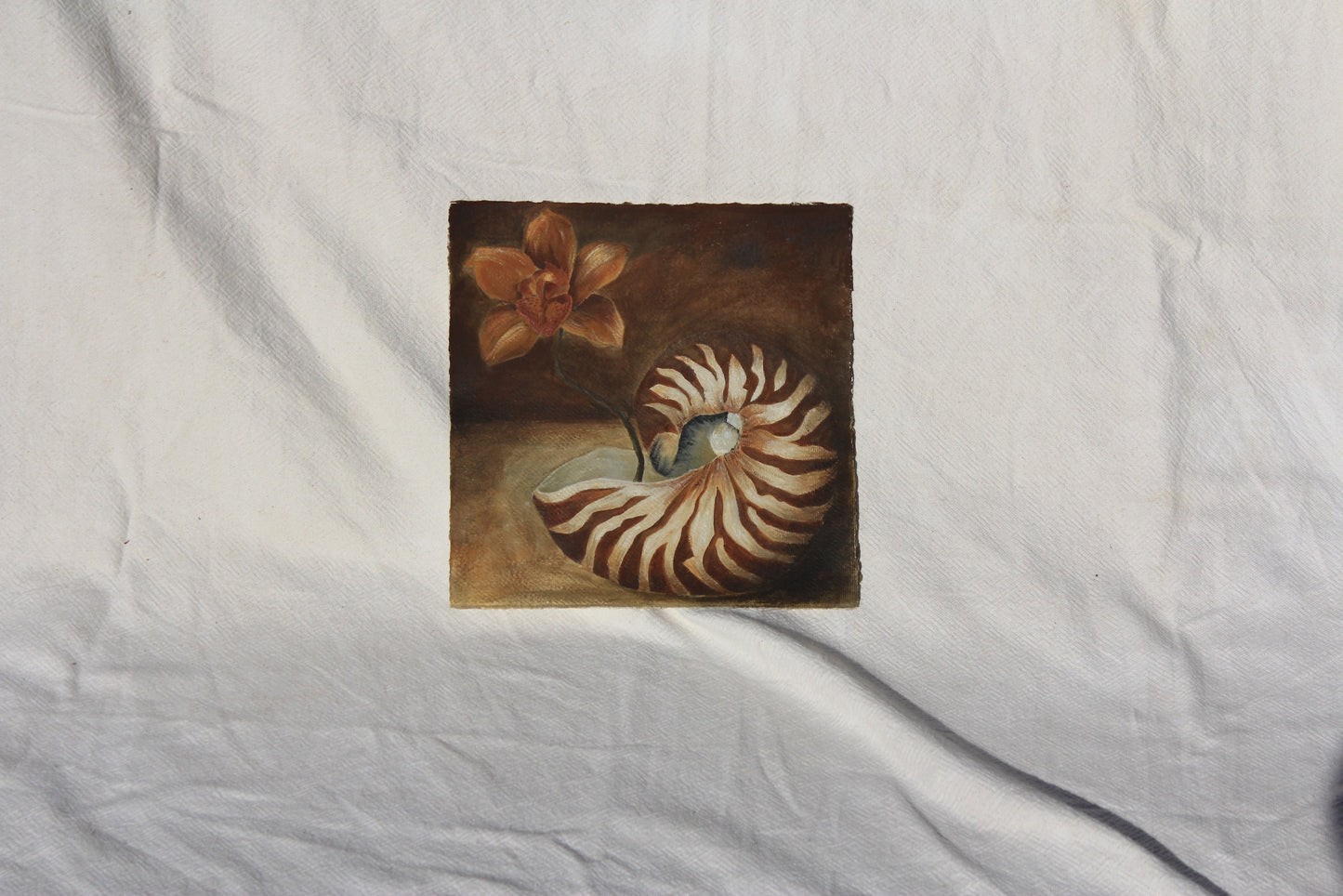SHELL WELL TRAVELLED Original Still life.