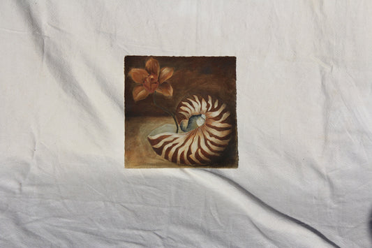 SHELL WELL TRAVELLED Original Still life.