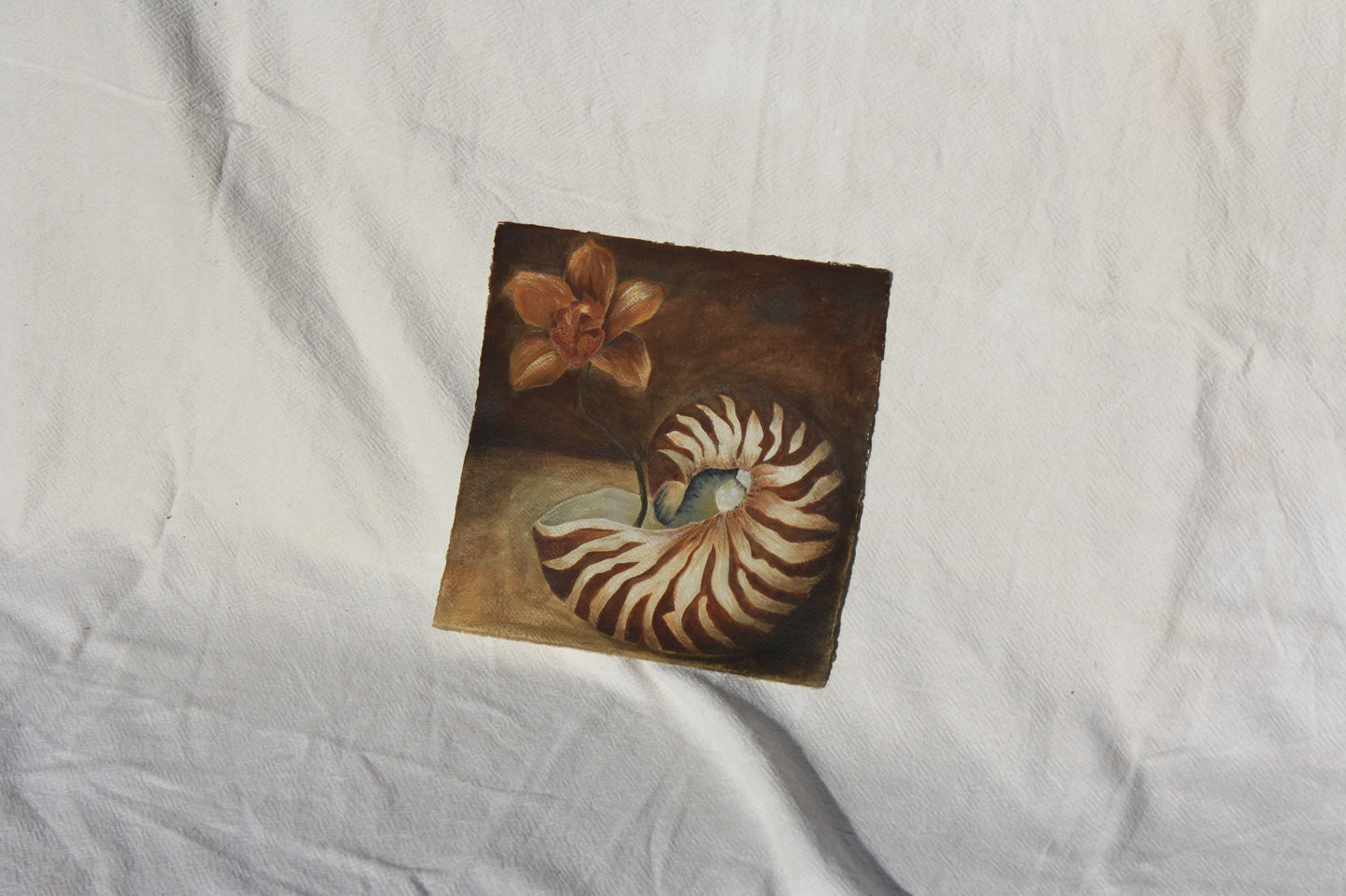 SHELL WELL TRAVELLED Original Still life.