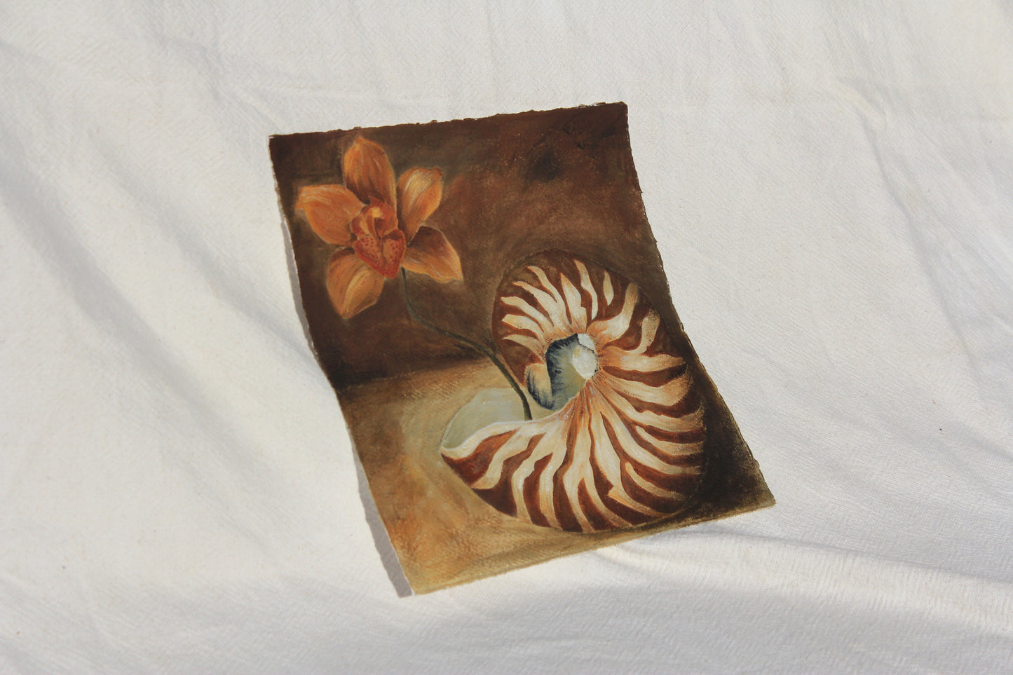 SHELL WELL TRAVELLED Original Still life.