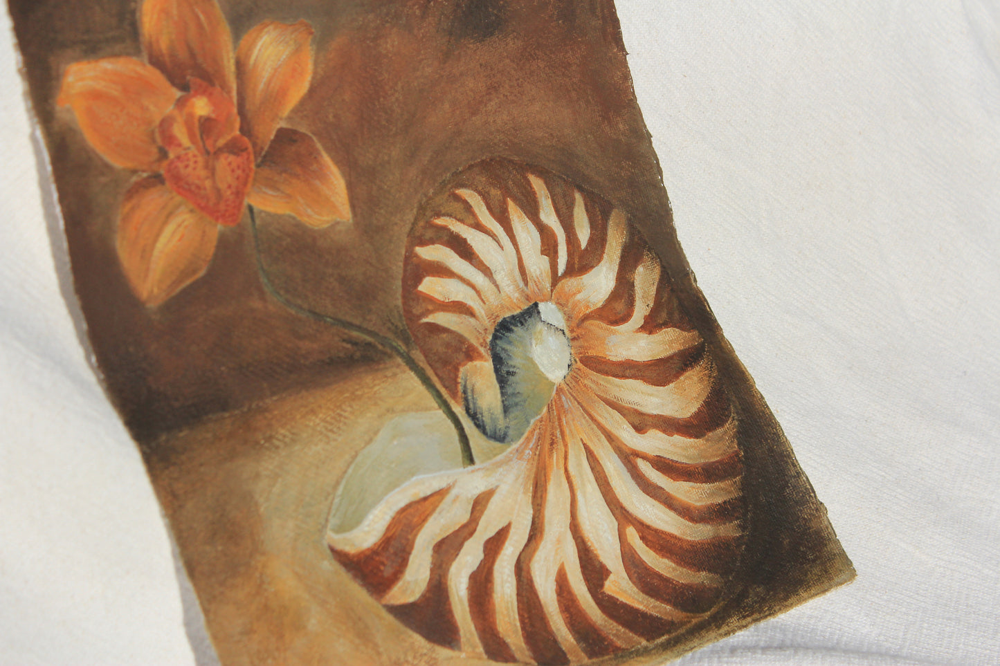 SHELL WELL TRAVELLED Original Still life.