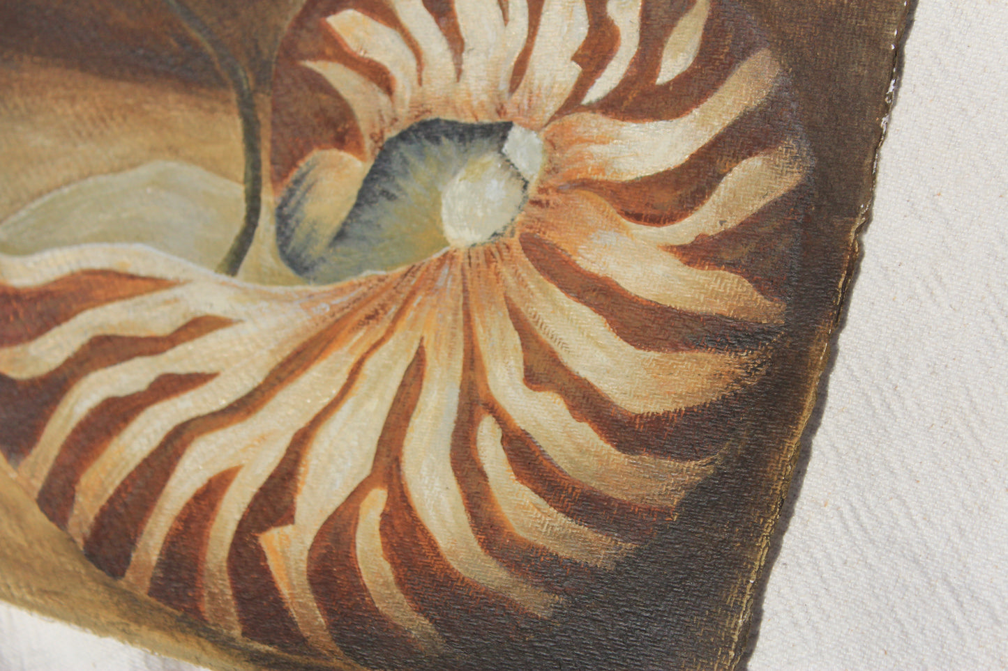 SHELL WELL TRAVELLED Original Still life.